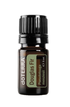 Douglas Fir (Douglasie) Pseudotsuga menziesii  5 ml. Flasche